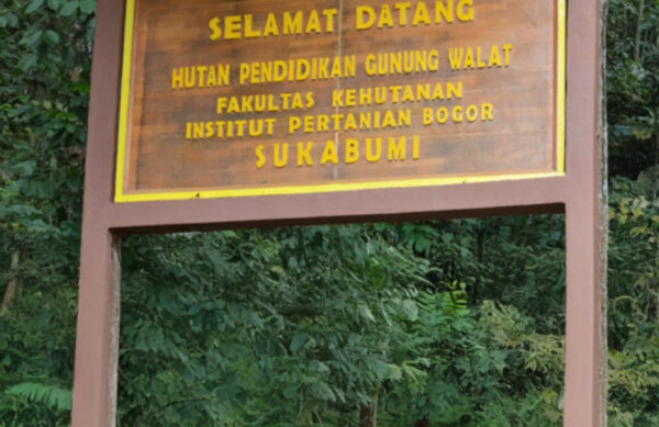 7 Perguruan Tinggi di Indonesia yang Punya Hutan Kampus, Luasnya Berhektare-hektare