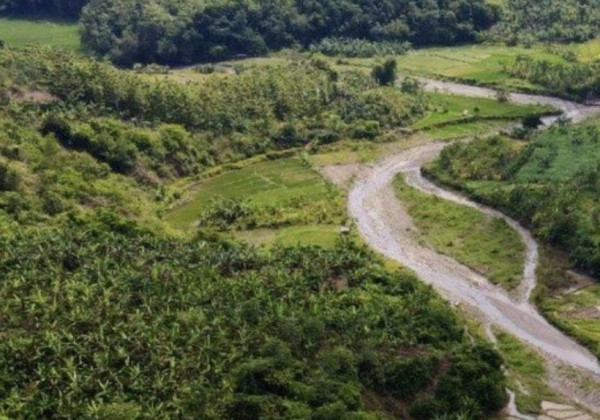 7 Perguruan Tinggi di Indonesia yang Punya Hutan Kampus, Luasnya Berhektare-hektare