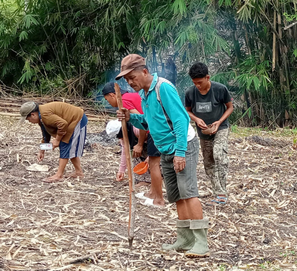 Dukung Kemandirian Pangan, Legislator Partai Perindo Menanam Padi Bareng Warga Tojo Una-Una