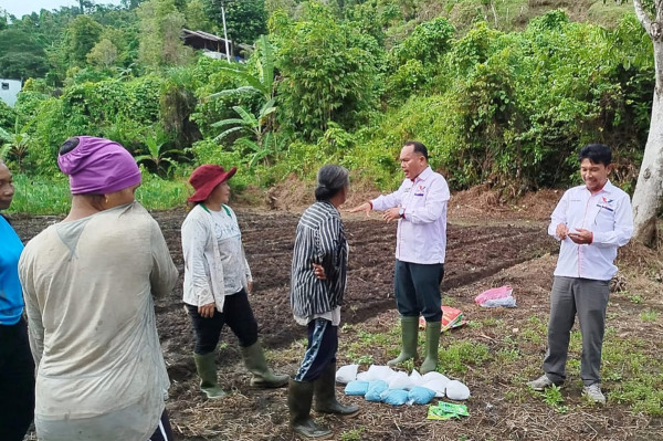 Bangun Ketahanan Pangan, Perindo Kepulauan Mentawai Bantu Bibit dan Pupuk untuk Kelompok Tani