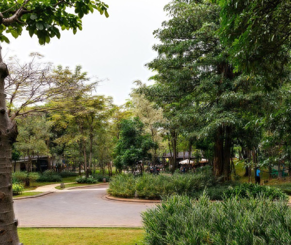 5 Rekomendasi Area Piknik Hits di Jakarta, Cocok Isi Waktu Libur Sekolah
