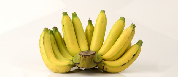 12 Jenis Pisang Terbaik di Dunia, Nomor 4 dari Indonesia