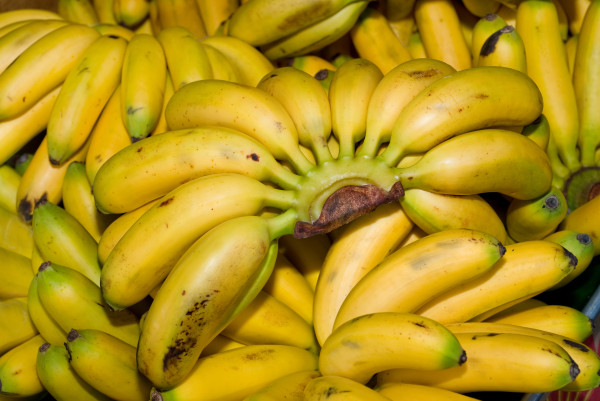 12 Jenis Pisang Terbaik di Dunia, Nomor 4 dari Indonesia