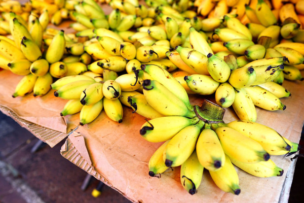 12 Jenis Pisang Terbaik di Dunia, Nomor 4 dari Indonesia