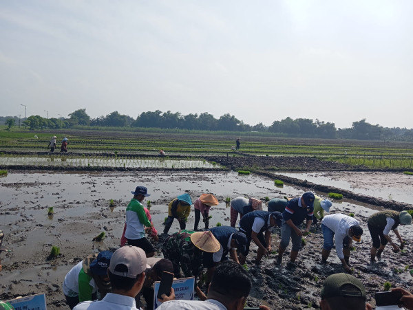 Dirut Pupuk Indonesia Ungkap Peran Penting Pupuk Dukung Swasembada Pangan