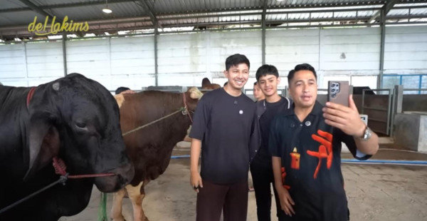 Penampakan Sapi Jumbo Hitam Sonny Septian Hadiah Kurban dari Raffi Ahmad