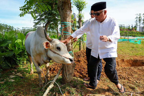 Bahagianya Pak Bas Salat Iduladha Bersama Masyarakat IKN, Begini Potret dan Suasananya