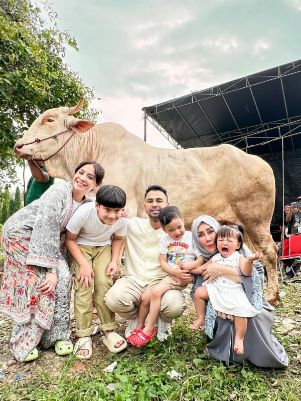 Raffi Ahmad Kurban 25 Sapi dan 90 Domba, Didistribusikan ke-3 Lokasi
