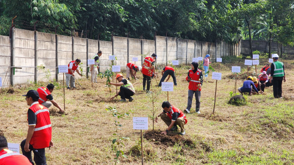 FKS Food Sejahtera Tanam Pohon Langka untuk Konservasi Keanekaragaman Hayati