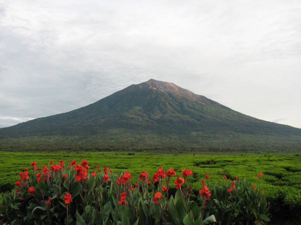 10 Gunung Terindah di Indonesia yang Wajib Masuk Daftar Pendakian