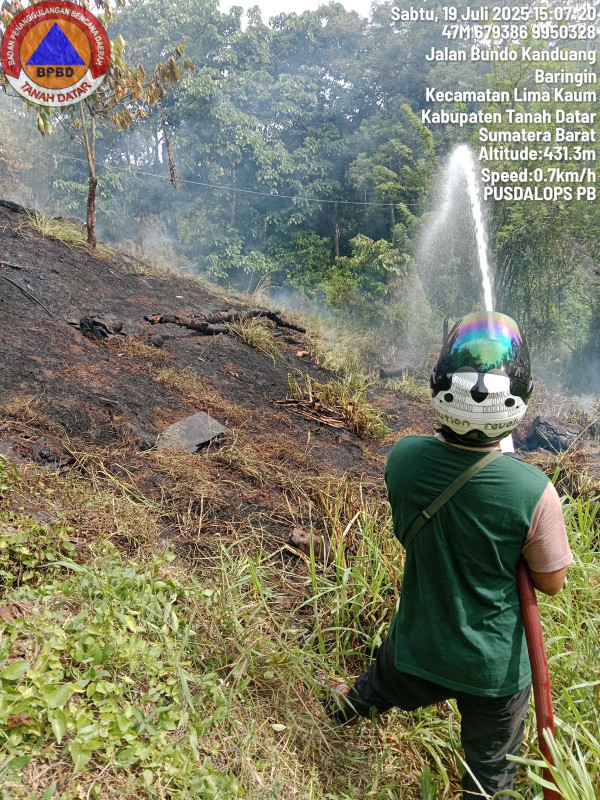 Waspada Karhutla! BNPB Deteksi 2.102 Titik Api di Sumatera Selatan hingga Juli 2025