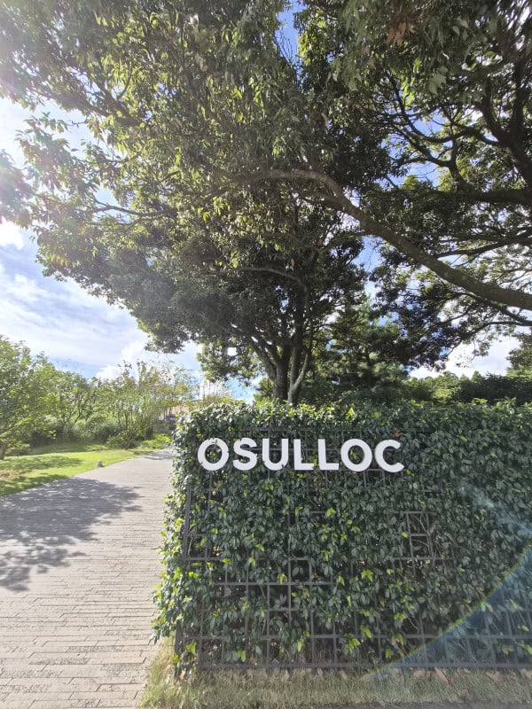 Menyeruput Matcha di Osulloc Museum dengan Samsung Galaxy Z Flip 7 yang Bikin Liburan Praktis