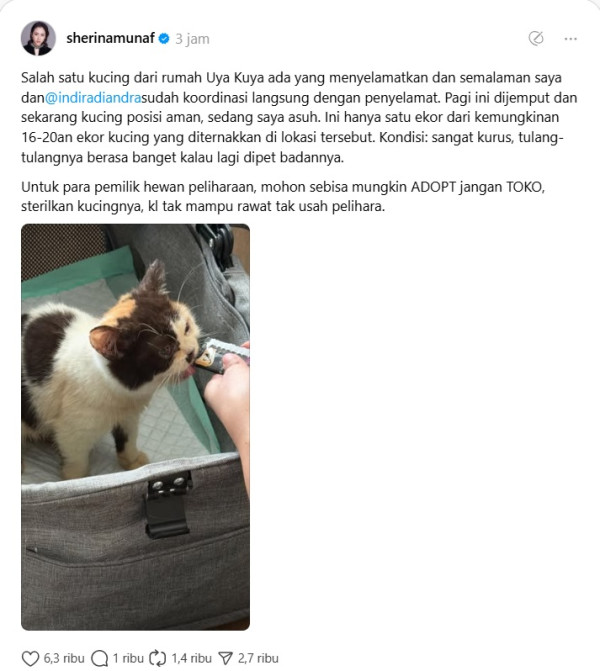 Sherina Munaf Selamatkan Kucing Uya Kuya Pasca Penjarahan, Kondisinya Memprihatinkan