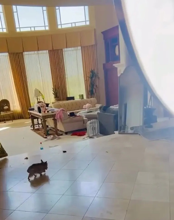 Britney Spears Ngamuk Rumahnya Disebut Berantakan dan Penuh Kotoran Anjing