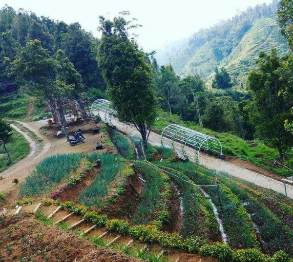 Ngopi Syahdu dengan Nuansa Belanda di Dillem Wilis