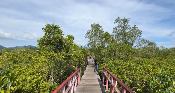 3 Rekomendasi Wisata Alam di Trenggalek, Hutan Mangrove hingga Pantai Pasir Putih