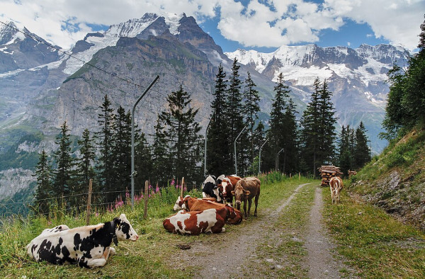 5 Potret Keindahan Lauterbrunnen Swiss, Tempat El Rumi Lamar Syifa Hadju