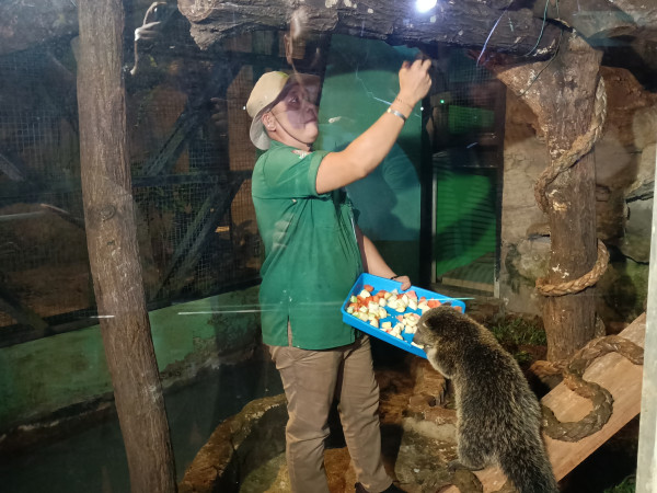 Uji Coba Wisata Malam Ragunan Tembus 2.900 Pengunjung
