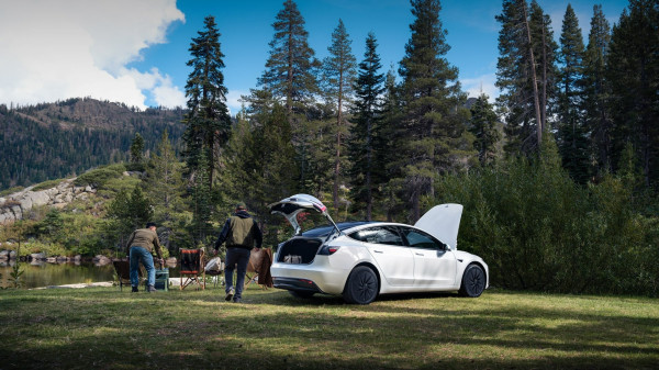 Mati Sebelum Berkembang'? Alasan Mengapa Model Murah Tesla Diprediksi Gagal Total di Pasar