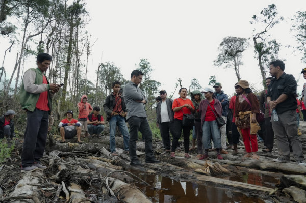Perambahan Hutan di Dairi Dikeluhkan Warga, Bane Desak Deforestasi Dihentikan