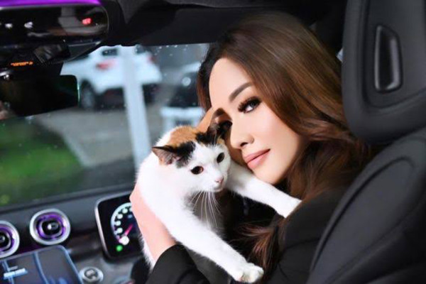 Lirabica: Hewan Ternak Terpapar Radiasi di Cikande Harus Diobati, Bukan Dimusnahkan