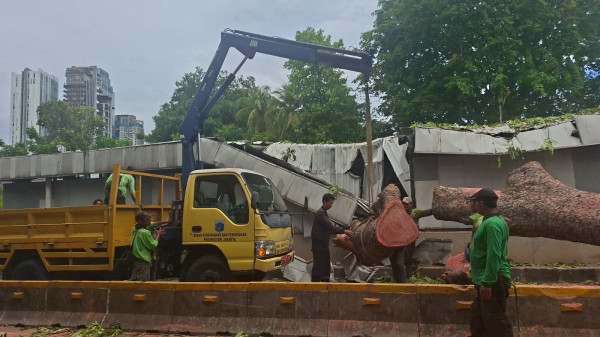MRT Jakarta Gangguan Imbas Pohon Tumbang di Jalan Sisingamangaraja, 524 Penumpang Dievakuasi