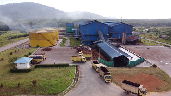 Dari 30 Hari Jadi 3 Hari: Pabrik Sawit Koperasi Suntik Digital SAP, Margin Laba Petani Naik hingga 4 Persen!