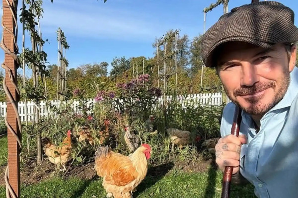 Misi Kerajaan Beckham Dimulai: 'Curious Garden' Jadi Proyek Perdananya