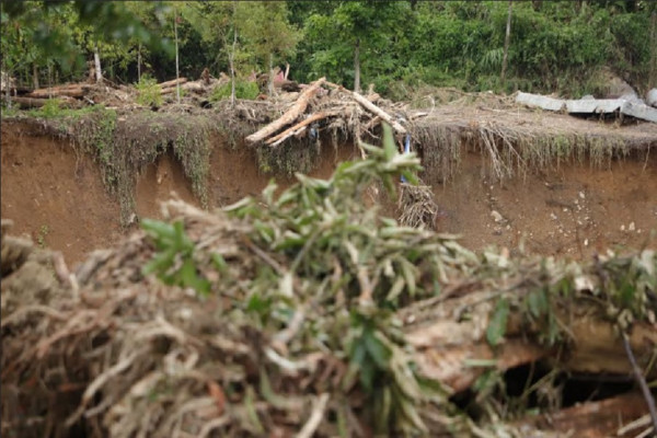Update Bencana Aceh, Sumut, Sumbar: 442 Orang Meninggal, 402 Masih Hilang
