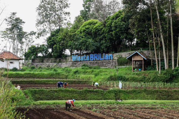 Konsisten Dorong Kemajuan Ekonomi Desa, BRI Raih Penghargaan dalam Puncak Hari Desa Nasional 2026
