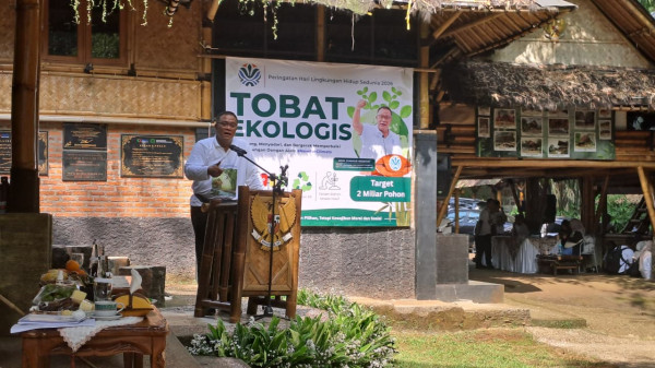 Jumhur Dorong Penanaman Bambu untuk Serap Emisi dan Tingkatkan Penghasilan Warga