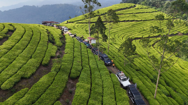 Kenapa Pemilik Land Cruiser Tua Tetap Setia di Tengah Serbuan Mobil Listrik?